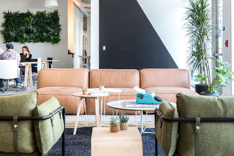 Furnished Office Space San Marcos