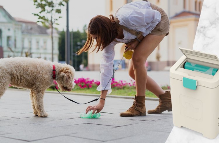 How Does A Dog Poop Disposal System Make A Cleanup A Snap?