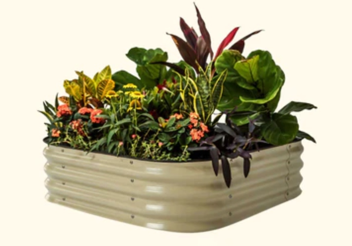 galvanized raised beds