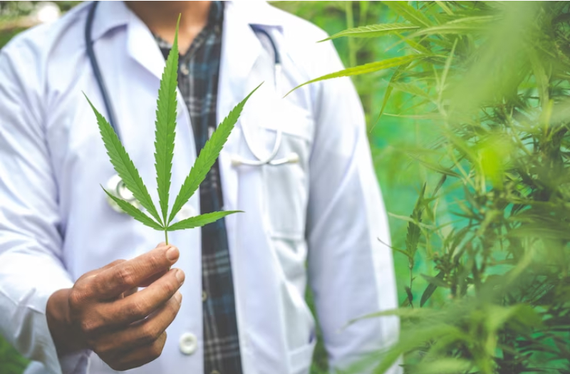 Exploring The Laws Surrounding Medical Marijuana Cards
