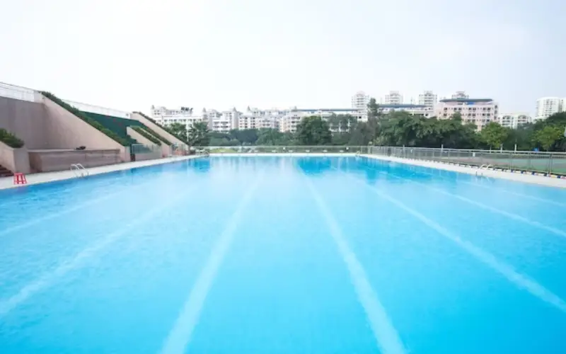 pool management companies