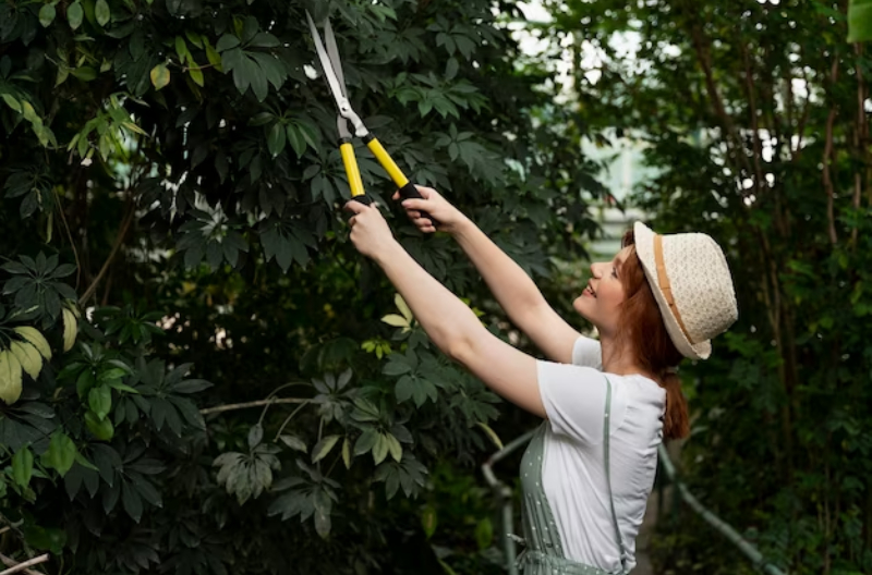 Deep root Fertilization