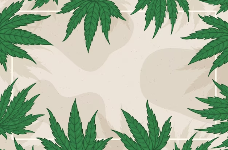 cannabis card