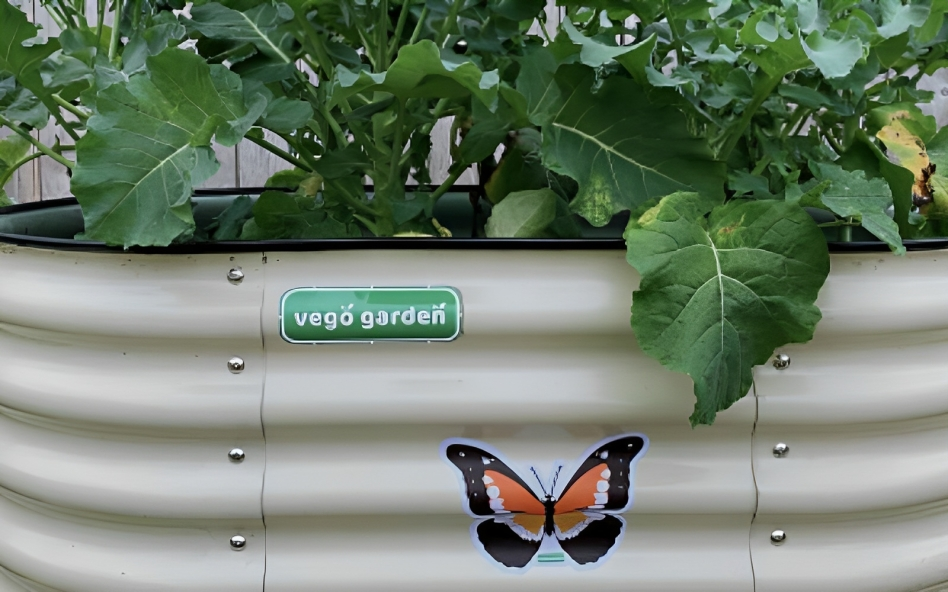 Success Stories: Thriving Gardens With Galvanized Raised Bed Planter