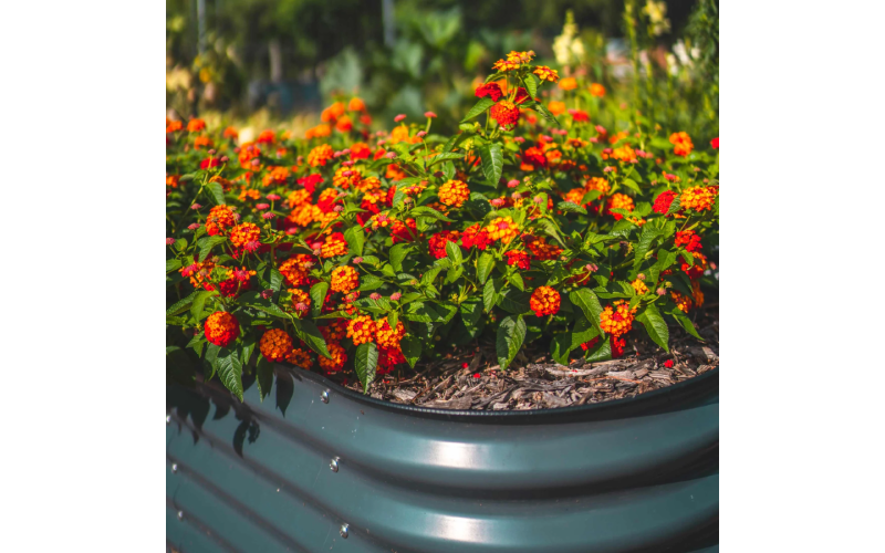 raised garden beds for sale