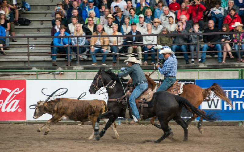 Things to Do in Jackson WY