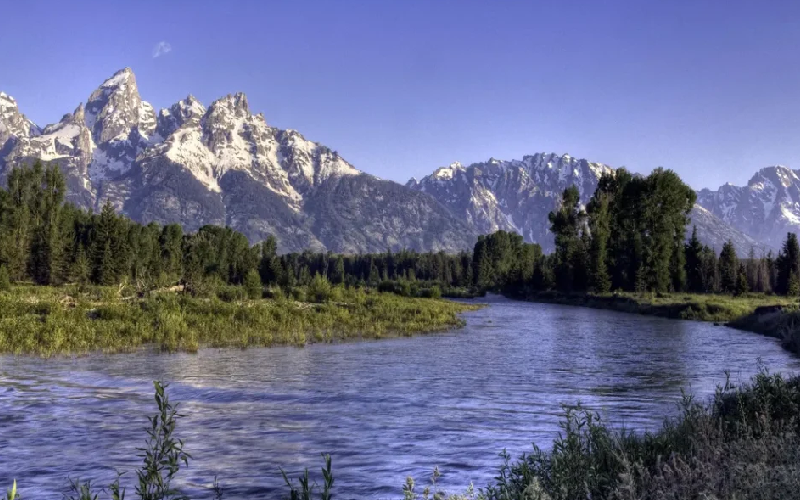 Jackson WY Adventure Haven: Unleash Your Wild Side