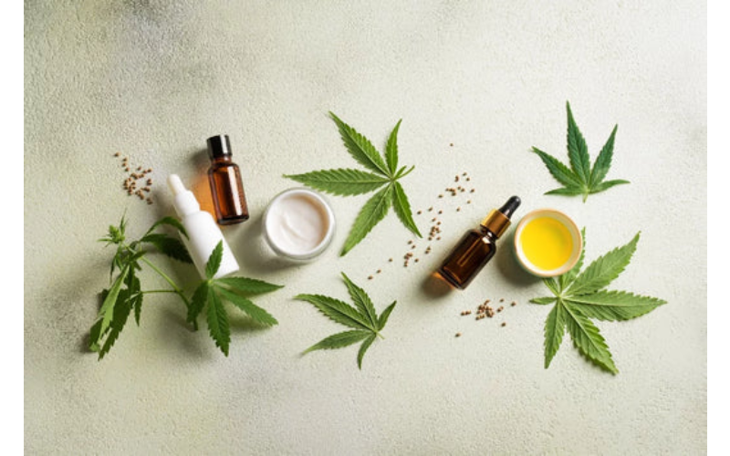 Storing and Handling CBD for Pets