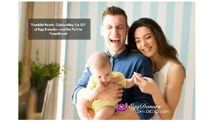 How To Find An Egg Donor In San Diego For IVF?