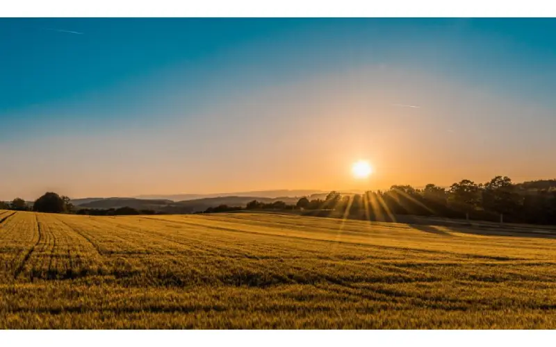 How to Handle Land Title Issues When Buying Land in California?