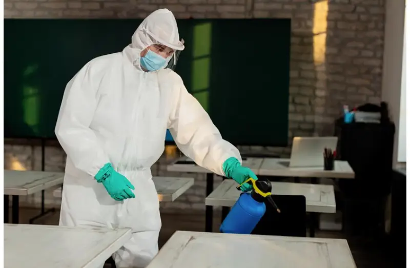 What Does A Bed Bug Exterminator Do And Why You Need One?