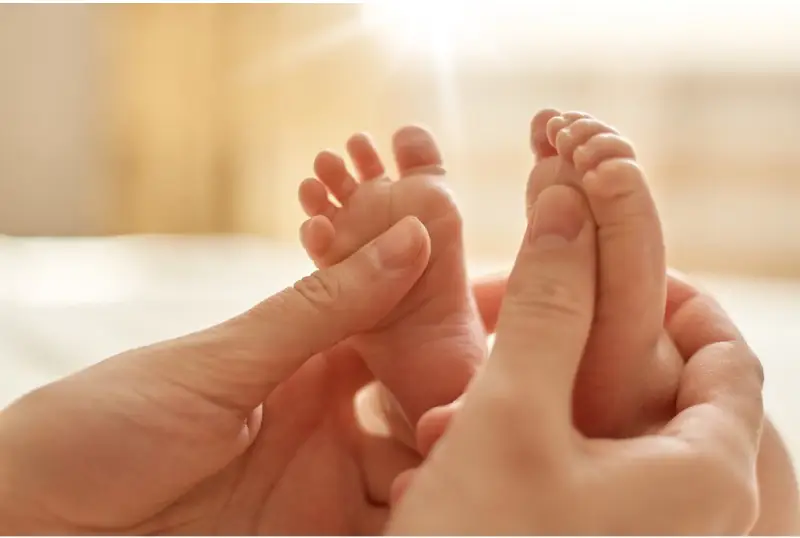 How To Choose The Best San Diego Egg Donor Program For Your Needs?